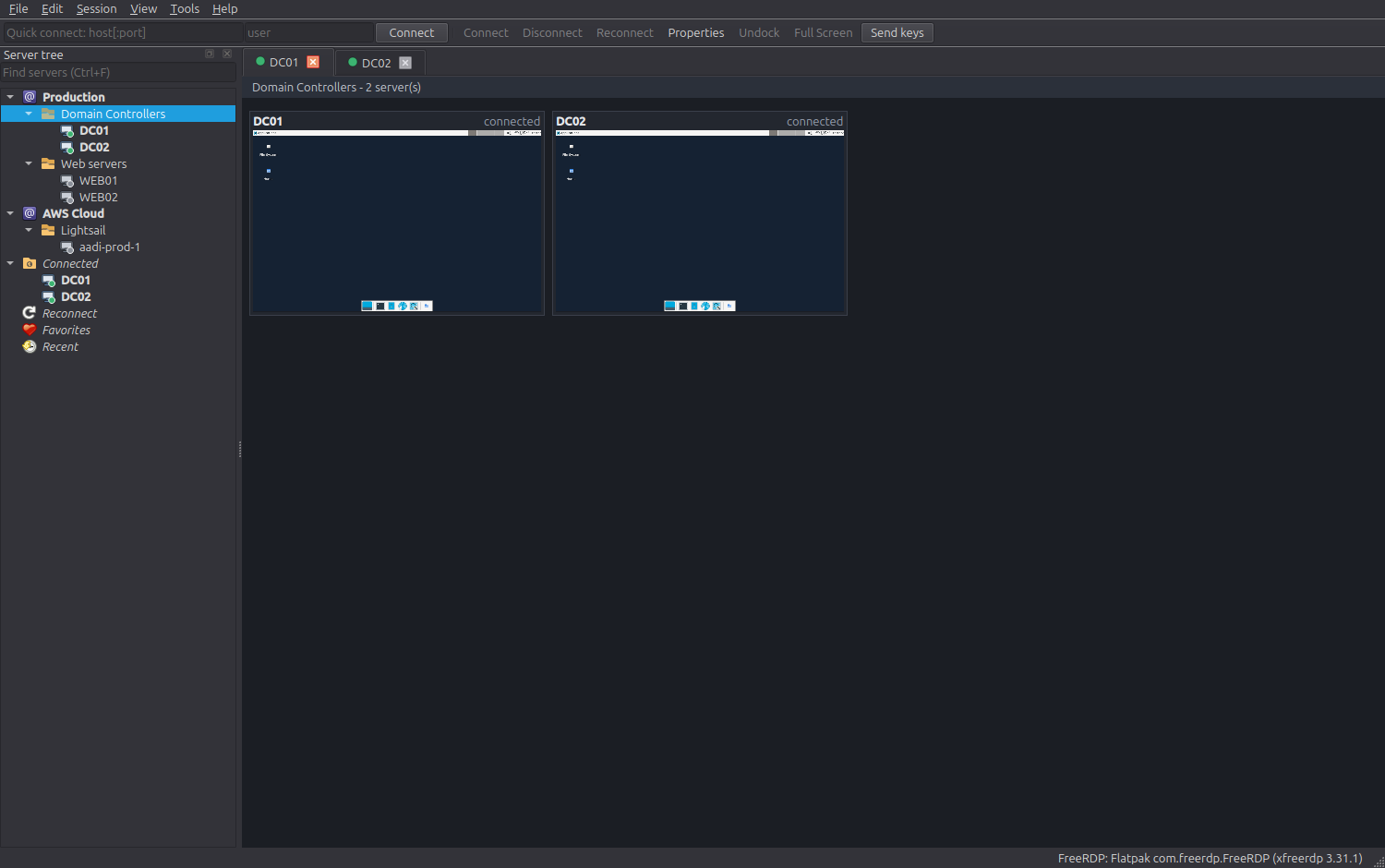 RDPMan screenshot