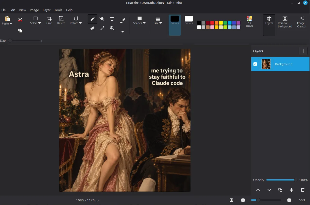 Mint Paint screenshot